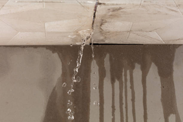 Professional Water Damage Repair technician working in Central, TN